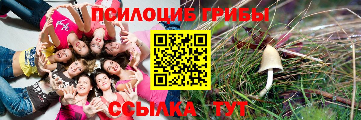 Псилоцибиновые грибы прущие грибы Копейск